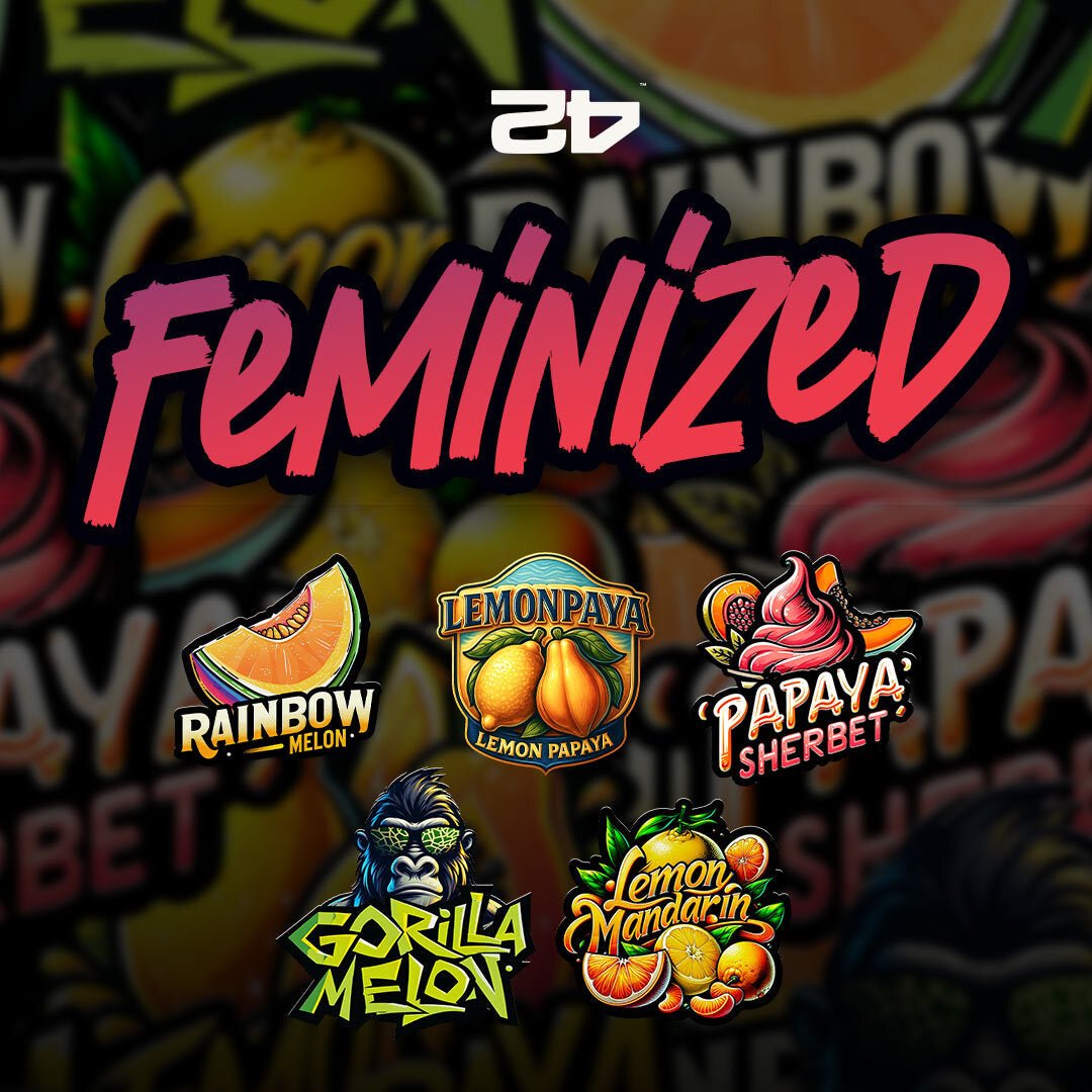 Fast Buds Feminisierte Samen - Bud Brothers