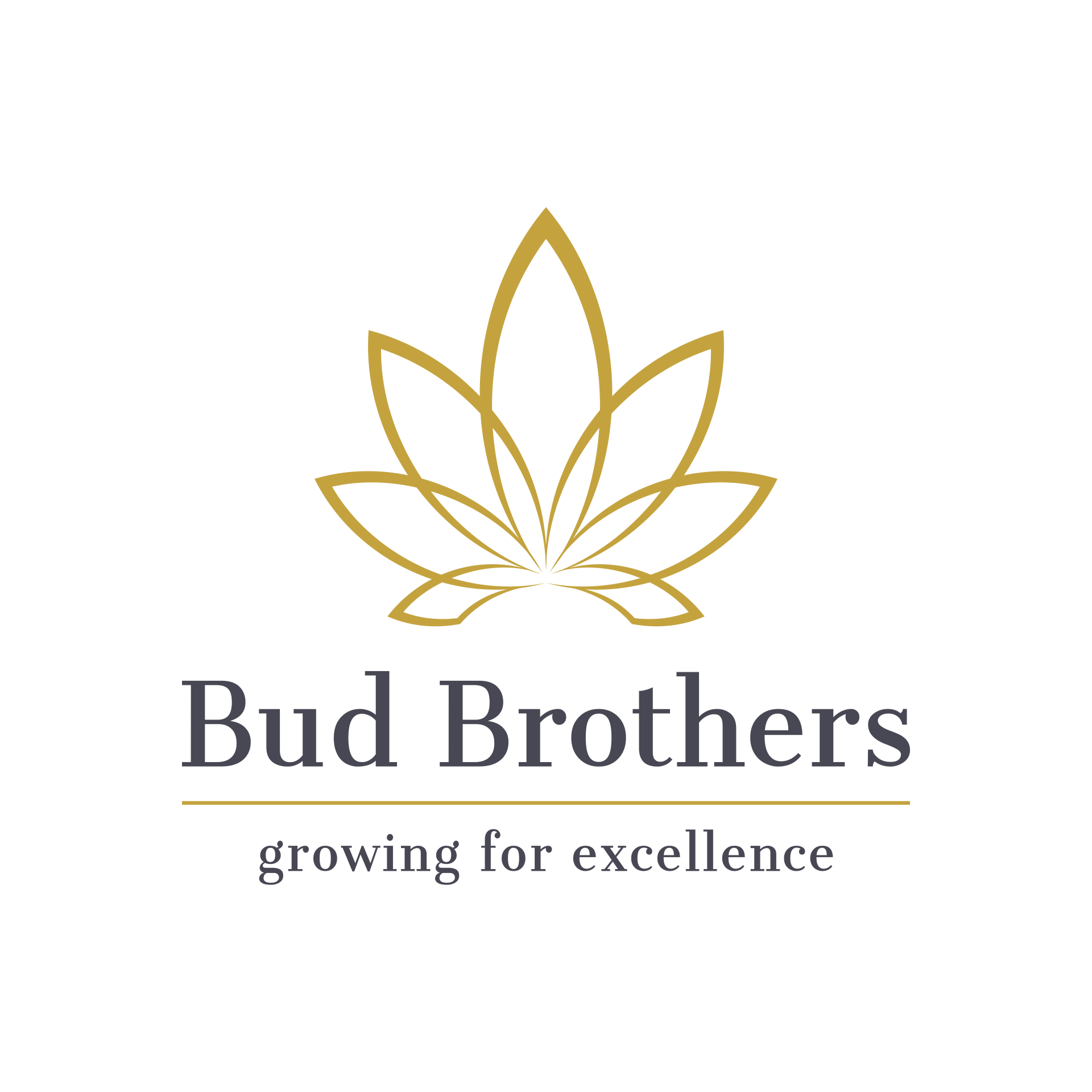 Bud Brothers | Premium CBD-Öl & Cannabis Zubehör Shop