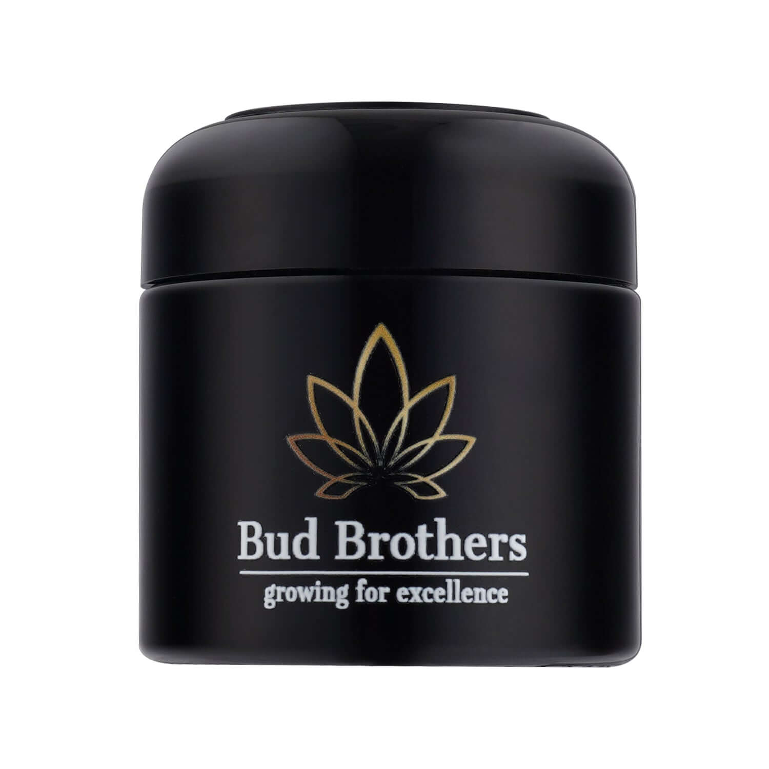 Bud Brothers Humidor 8 - Bud Brothers