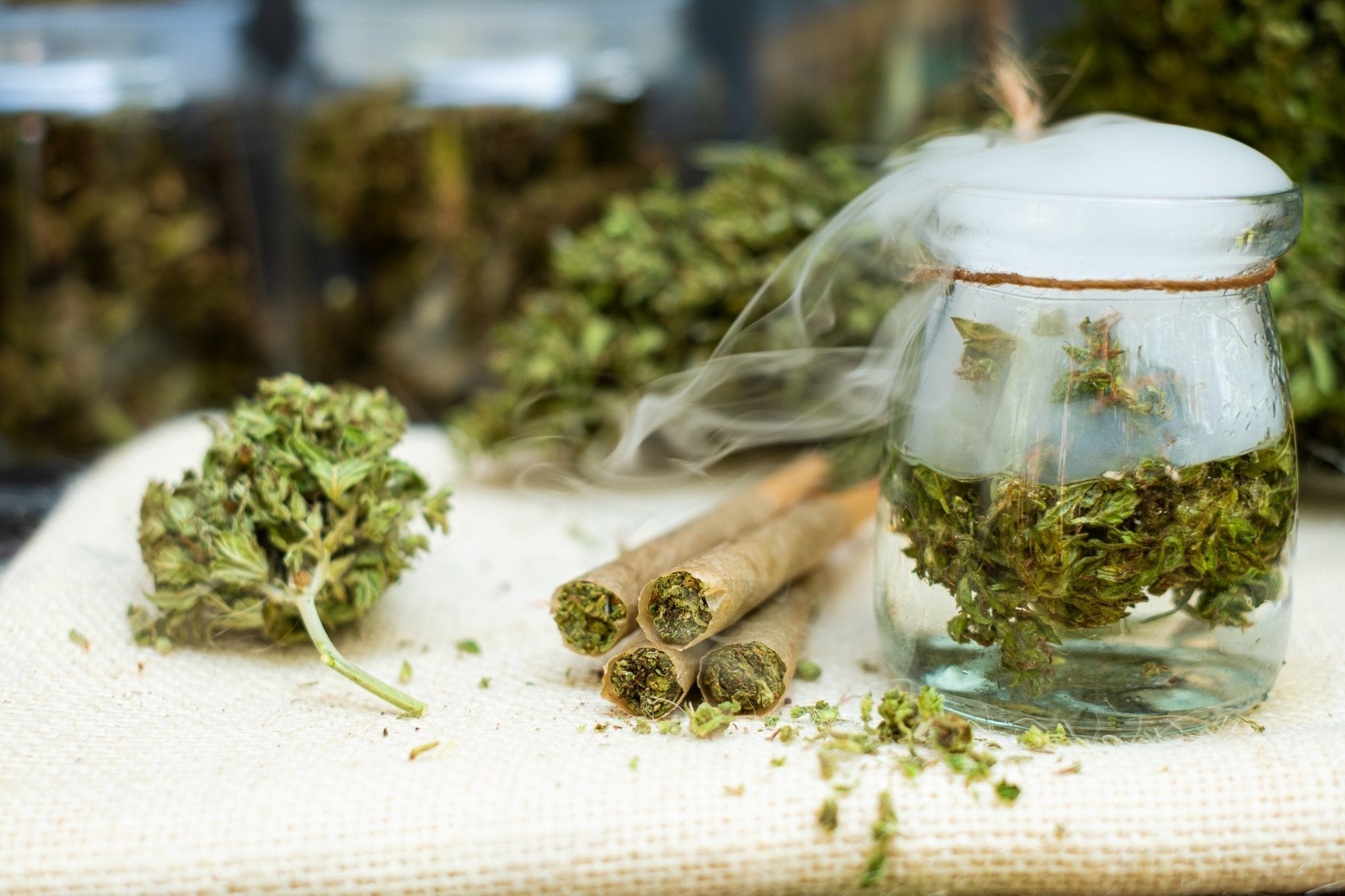 Cannabisaufbewahrung: Vergleich der besten Lagerungsmethoden - Bud Brothers