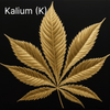 Das Mangel-ABC: Kalium (K) - Bud Brothers