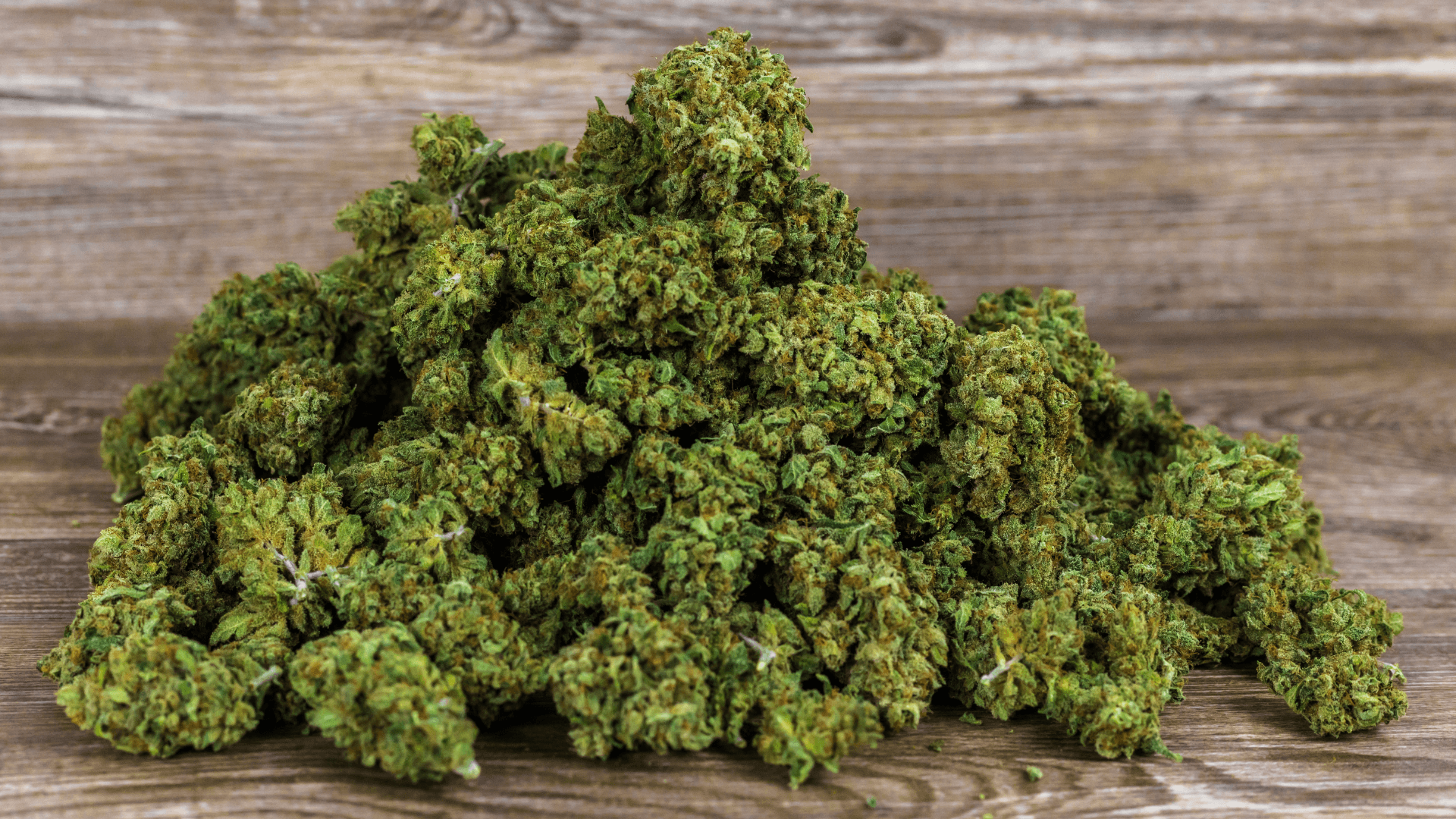 Bud Brothers CBD Blüten - Bud Brothers